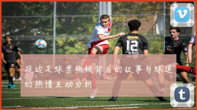 延边足球票热销背后的故事与球迷的热情互动分析