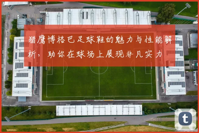 猎鹰博格巴足球鞋的魅力与性能解析，助你在球场上展现非凡实力