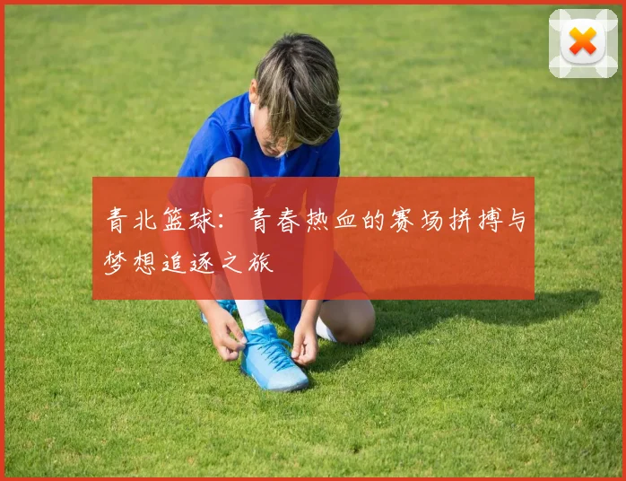 青北篮球：青春热血的赛场拼搏与梦想追逐之旅